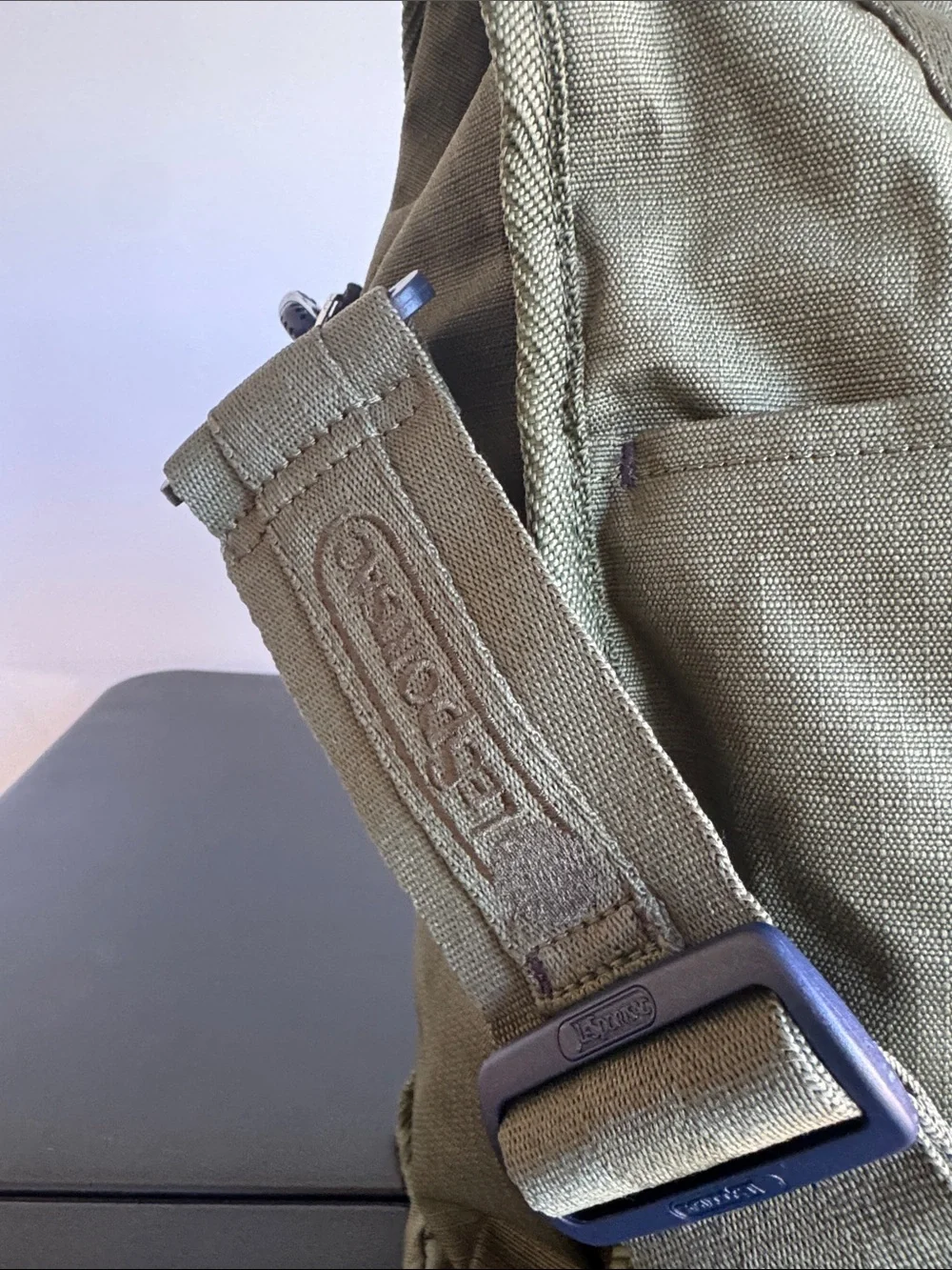 Lesportsac Olive Tote Messenger Bag with Padded Strap
